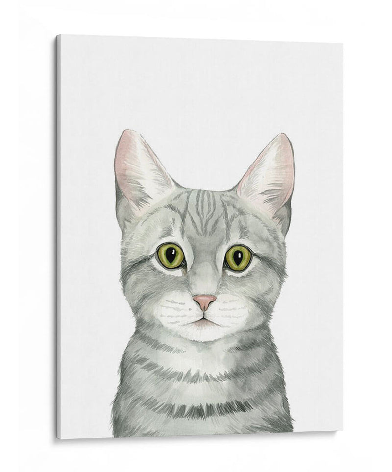 Cat Retrato Iii - Grace Popp | Cuadro decorativo de Canvas Lab