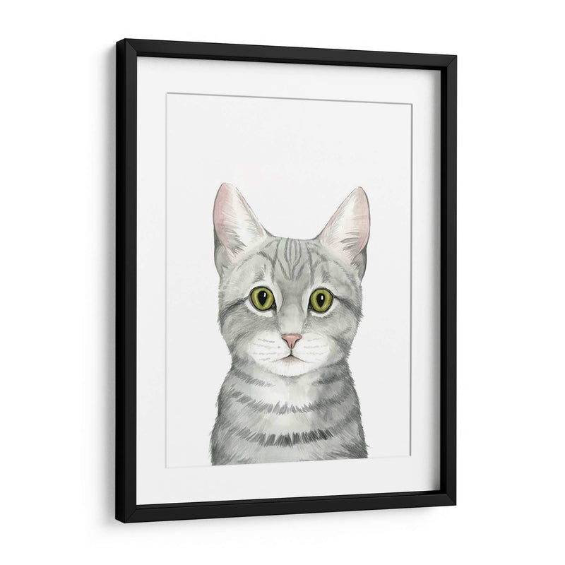 Cat Retrato Iii - Grace Popp | Cuadro decorativo de Canvas Lab