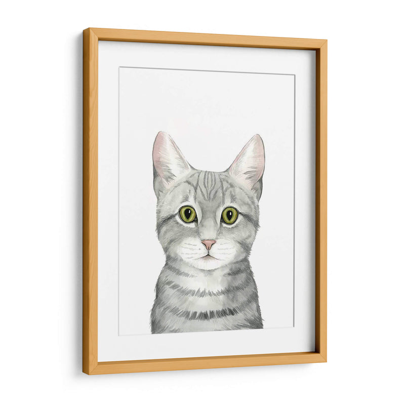 Cat Retrato Iii - Grace Popp | Cuadro decorativo de Canvas Lab