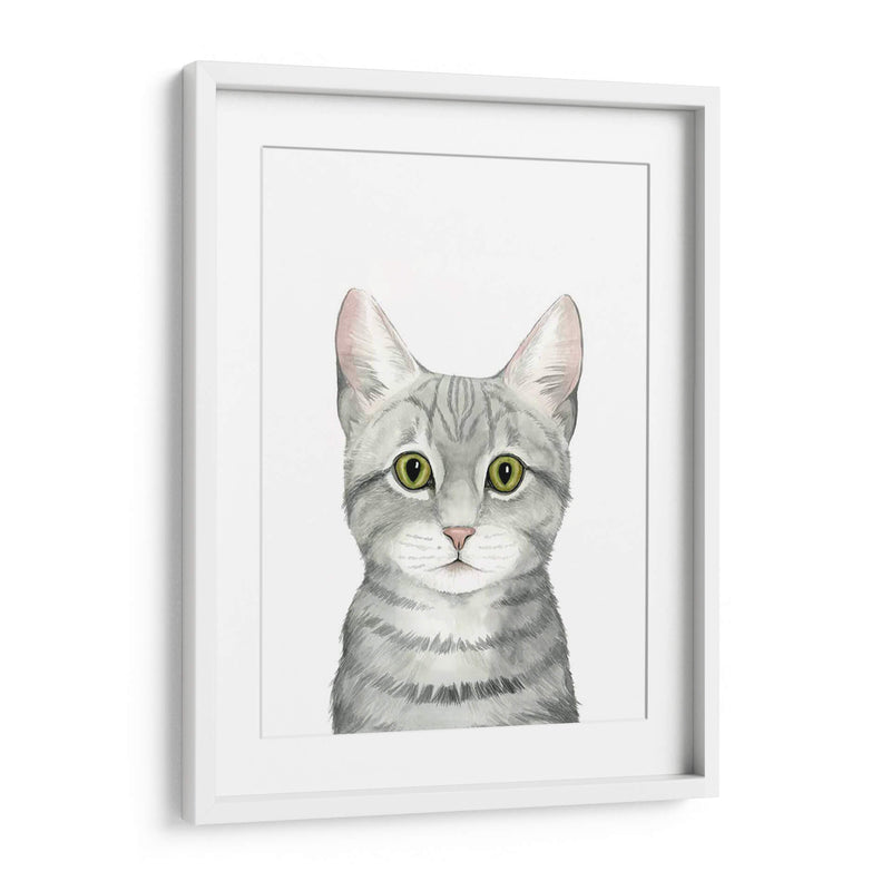 Cat Retrato Iii - Grace Popp | Cuadro decorativo de Canvas Lab