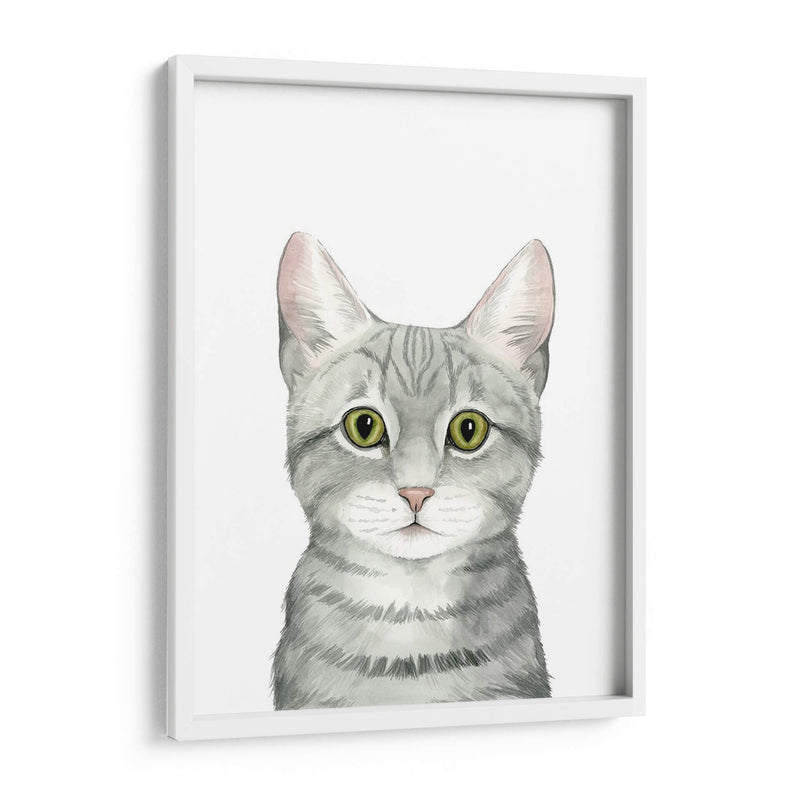 Cat Retrato Iii - Grace Popp | Cuadro decorativo de Canvas Lab