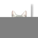 Cat Retrato Iii - Grace Popp | Cuadro decorativo de Canvas Lab