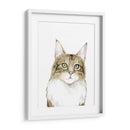 Retrato Del Gato Iv - Grace Popp | Cuadro decorativo de Canvas Lab