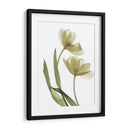 Xray Tulip I - Judy Stalus | Cuadro decorativo de Canvas Lab