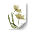 Xray Tulip I - Judy Stalus | Cuadro decorativo de Canvas Lab