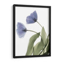 Xray Tulip Iii - Judy Stalus | Cuadro decorativo de Canvas Lab