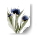 Xray Tulip Iv - Judy Stalus | Cuadro decorativo de Canvas Lab