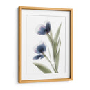 Xray Tulip V - Judy Stalus | Cuadro decorativo de Canvas Lab