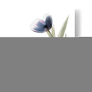 Xray Tulip V - Judy Stalus | Cuadro decorativo de Canvas Lab