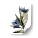 Xray Tulip Vi - Judy Stalus | Cuadro decorativo de Canvas Lab