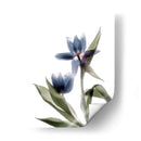 Xray Tulip Viii - Judy Stalus | Cuadro decorativo de Canvas Lab