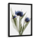 Xray Tulip Ix - Judy Stalus | Cuadro decorativo de Canvas Lab