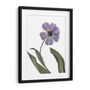 Xray Tulip X - Judy Stalus | Cuadro decorativo de Canvas Lab