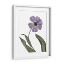 Xray Tulip X - Judy Stalus | Cuadro decorativo de Canvas Lab