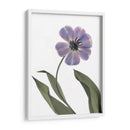 Xray Tulip X - Judy Stalus | Cuadro decorativo de Canvas Lab