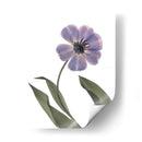 Xray Tulip X - Judy Stalus | Cuadro decorativo de Canvas Lab