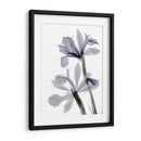 Iris De Radiografía - Judy Stalus | Cuadro decorativo de Canvas Lab