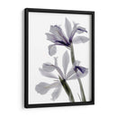 Iris De Radiografía - Judy Stalus | Cuadro decorativo de Canvas Lab