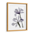 Iris De Radiografía - Judy Stalus | Cuadro decorativo de Canvas Lab