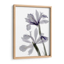 Iris De Radiografía - Judy Stalus | Cuadro decorativo de Canvas Lab