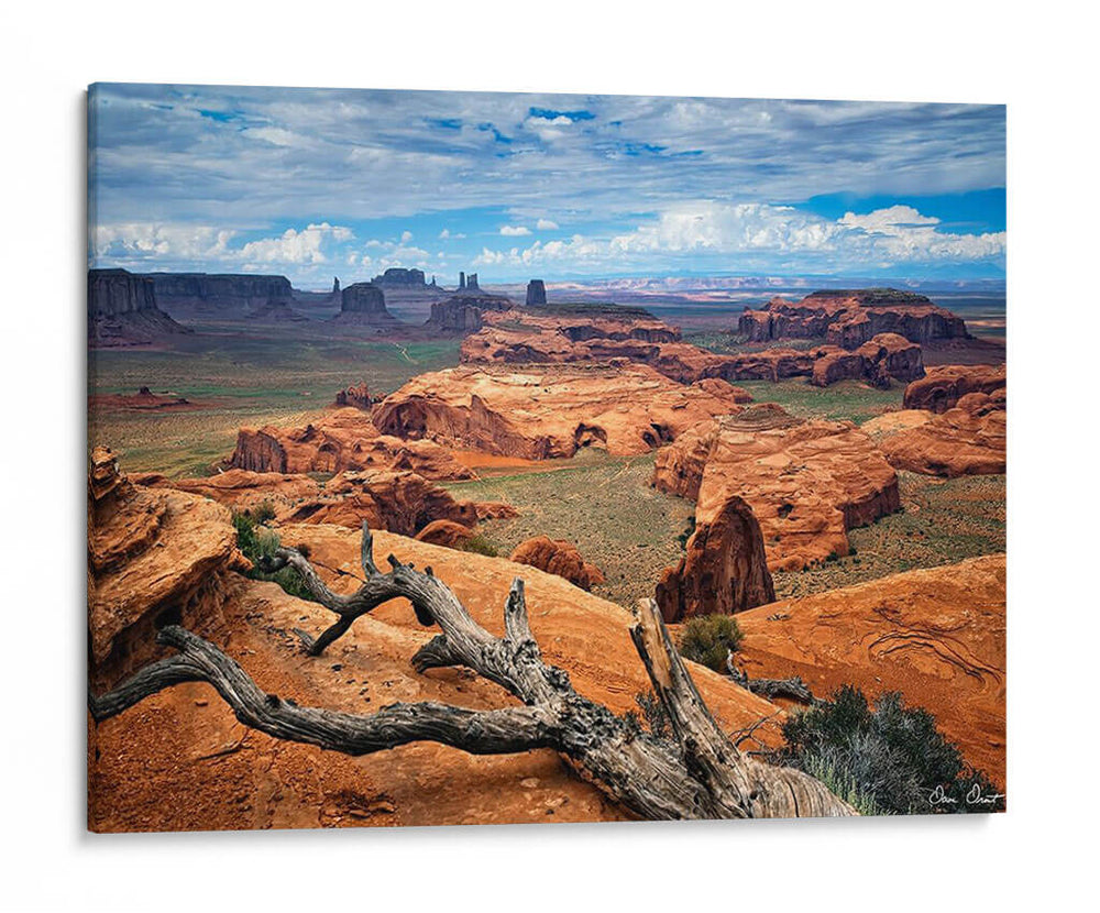 Valley Beauty Vii - David Drost | Cuadro decorativo de Canvas Lab