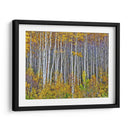 Woods Amarillo I - David Drost | Cuadro decorativo de Canvas Lab