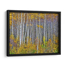 Woods Amarillo I - David Drost | Cuadro decorativo de Canvas Lab