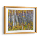 Woods Amarillo I - David Drost | Cuadro decorativo de Canvas Lab
