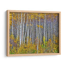 Woods Amarillo I - David Drost | Cuadro decorativo de Canvas Lab