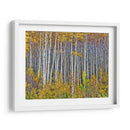 Woods Amarillo I - David Drost | Cuadro decorativo de Canvas Lab