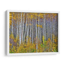 Woods Amarillo I - David Drost | Cuadro decorativo de Canvas Lab