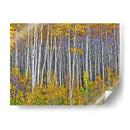 Woods Amarillo I - David Drost | Cuadro decorativo de Canvas Lab
