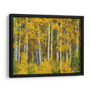 Woods Amarillo Ii - David Drost | Cuadro decorativo de Canvas Lab