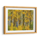 Woods Amarillo Ii - David Drost | Cuadro decorativo de Canvas Lab