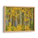 Woods Amarillo Ii - David Drost | Cuadro decorativo de Canvas Lab