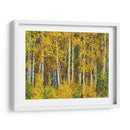 Woods Amarillo Ii - David Drost | Cuadro decorativo de Canvas Lab