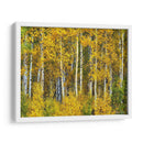 Woods Amarillo Ii - David Drost | Cuadro decorativo de Canvas Lab