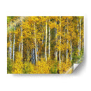 Woods Amarillo Ii - David Drost | Cuadro decorativo de Canvas Lab