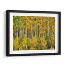 Woods Amarillo Iii - David Drost | Cuadro decorativo de Canvas Lab