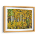 Woods Amarillo Iii - David Drost | Cuadro decorativo de Canvas Lab