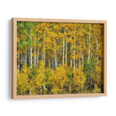 Woods Amarillo Iii - David Drost | Cuadro decorativo de Canvas Lab