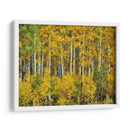 Woods Amarillo Iii - David Drost | Cuadro decorativo de Canvas Lab