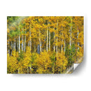 Woods Amarillo Iii - David Drost | Cuadro decorativo de Canvas Lab
