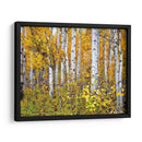 Woods Amarillos Iv - David Drost | Cuadro decorativo de Canvas Lab