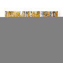 Woods Amarillos Iv - David Drost | Cuadro decorativo de Canvas Lab