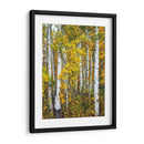 Woods Amarillo V - David Drost | Cuadro decorativo de Canvas Lab