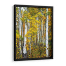 Woods Amarillo V - David Drost | Cuadro decorativo de Canvas Lab