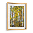 Woods Amarillo V - David Drost | Cuadro decorativo de Canvas Lab