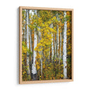 Woods Amarillo V - David Drost | Cuadro decorativo de Canvas Lab