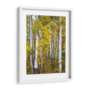 Woods Amarillo V - David Drost | Cuadro decorativo de Canvas Lab